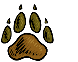 Pfotenabdruck eines Tieres