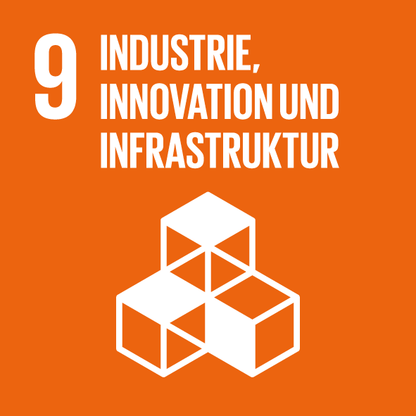 SDG 09