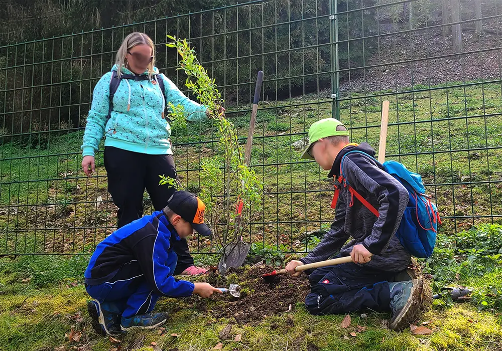 Drei Personen pflanzen gemeinsam einen kleinen Baum im Freien neben einem Zaun. Zwei Kinder arbeiten am Boden, eine erwachsene Person schaut zu.