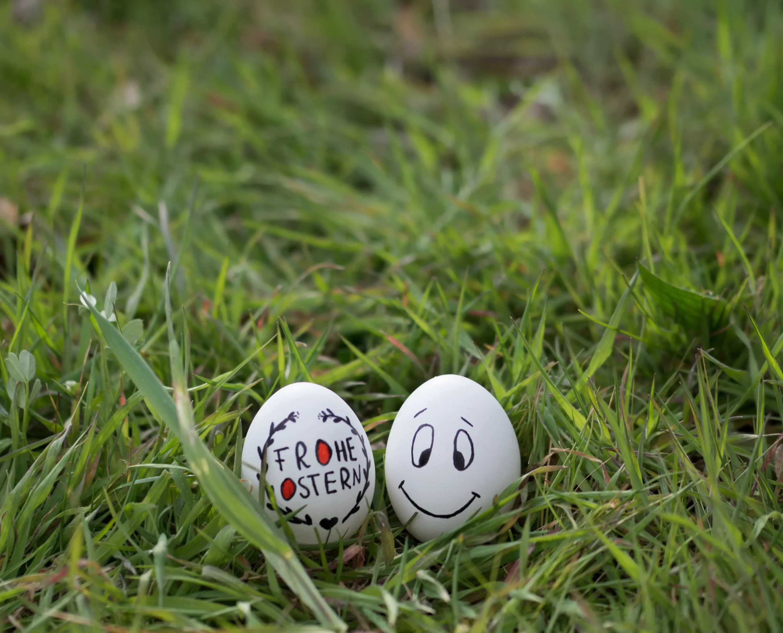 Zwei bemalte Ostereier mit Gesichtern liegen im gr&uuml;nen Gras.