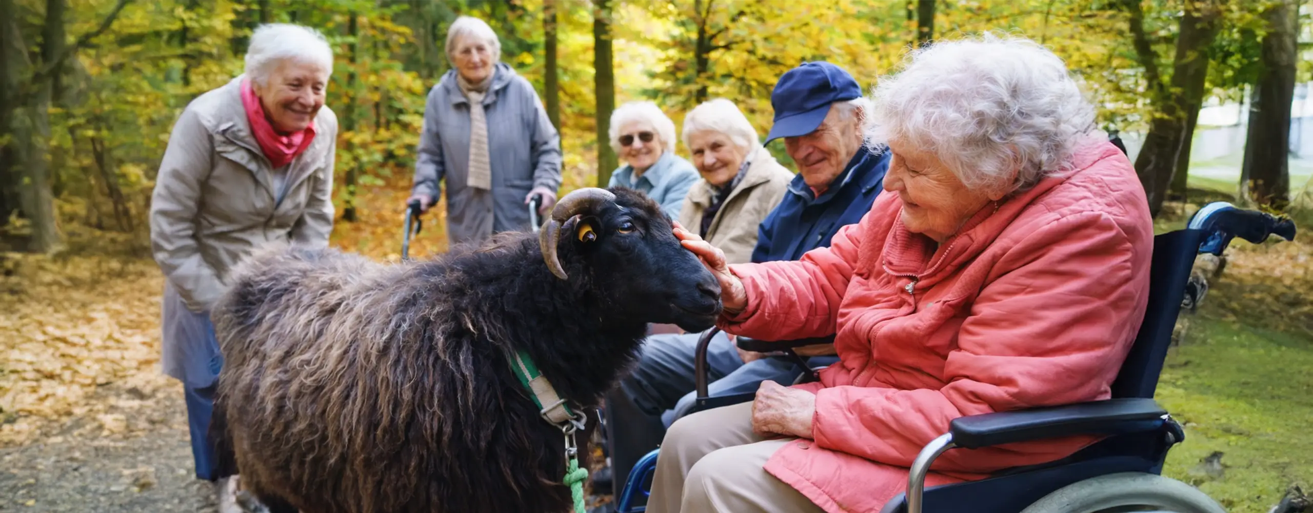 Eine Gruppe älterer Menschen sitzt im Freien und streichelt ein schwarzes Schaf, umgeben von herbstlichen Bäumen.