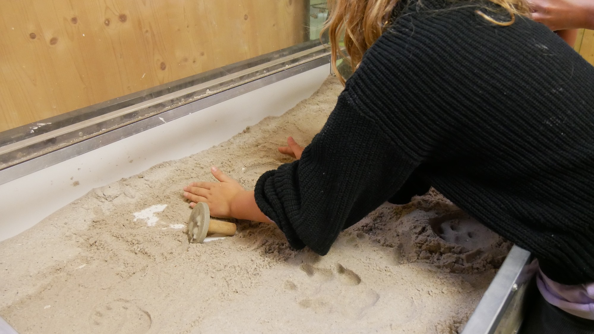 Eine Person streichelt mit beiden H&auml;nden das Fell eines gro&szlig;en, hellen Tieres, vermutlich eines Hundes, drinnen an einem Fenster.