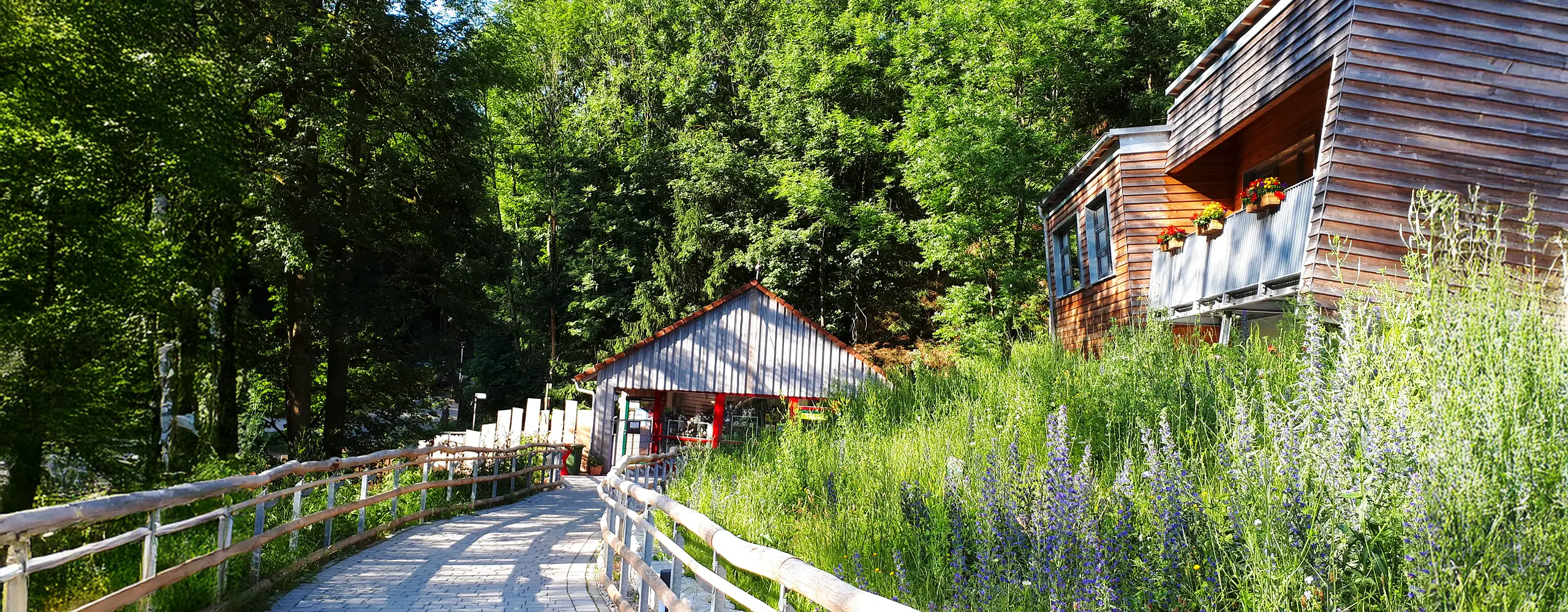 Ein Holzsteg führt zu einem kleinen Gebäude im Grünen, umgeben von Bäumen und hohen Gräsern bei sonnigem Wetter.