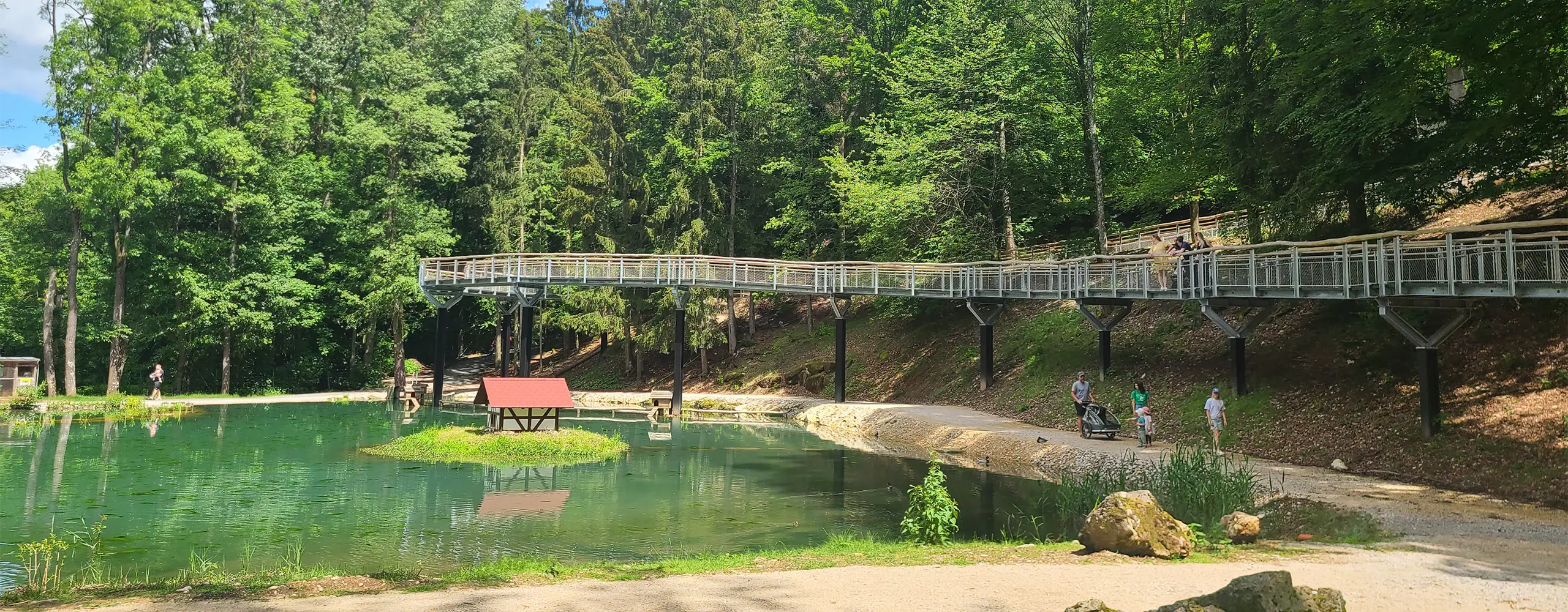 Eine Fußgängerbrücke überspannt einen kleinen Teich im Wald, daneben eine Picknickhütte und grüne Bäume im Hintergrund.