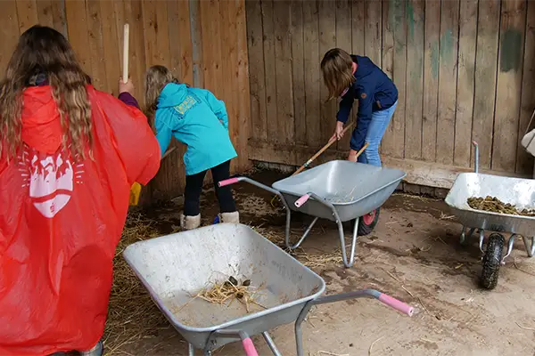 Kinder reinigen einen Stall mit Schubkarren und Besen.
