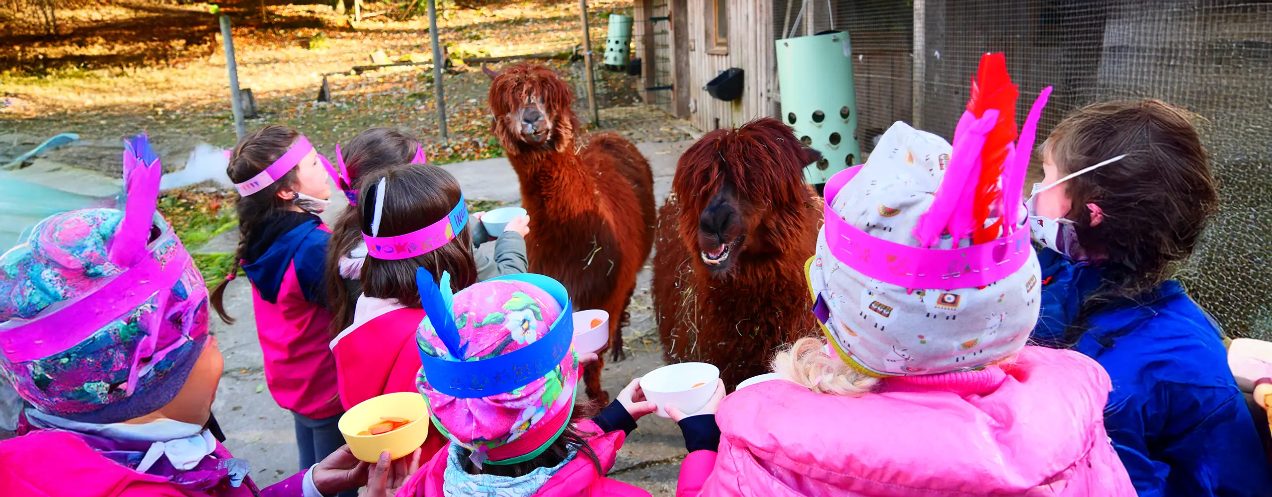 Kinder mit bunten Mützen füttern zwei braune Alpakas in einem Gehege, während sie sie neugierig ansehen.