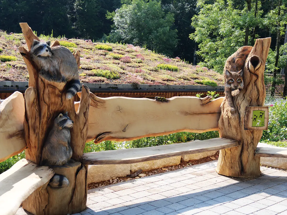 Holzbank mit geschnitzten Waschbärenfiguren an den Seiten, steht auf einem gepflasterten Weg vor grünem, bewaldetem Hintergrund.