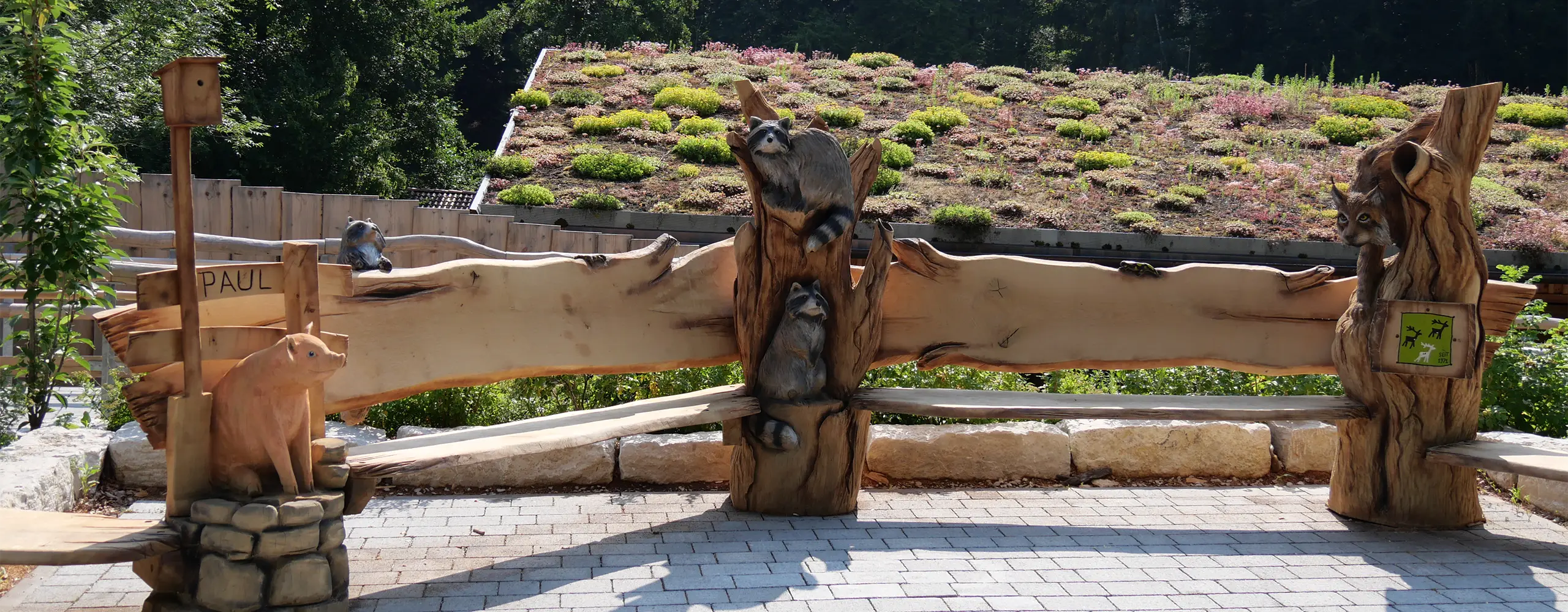 Holzzaun mit geschnitzten Waschbärenfiguren, im Hintergrund ein begrüntes Dach und Bäume.