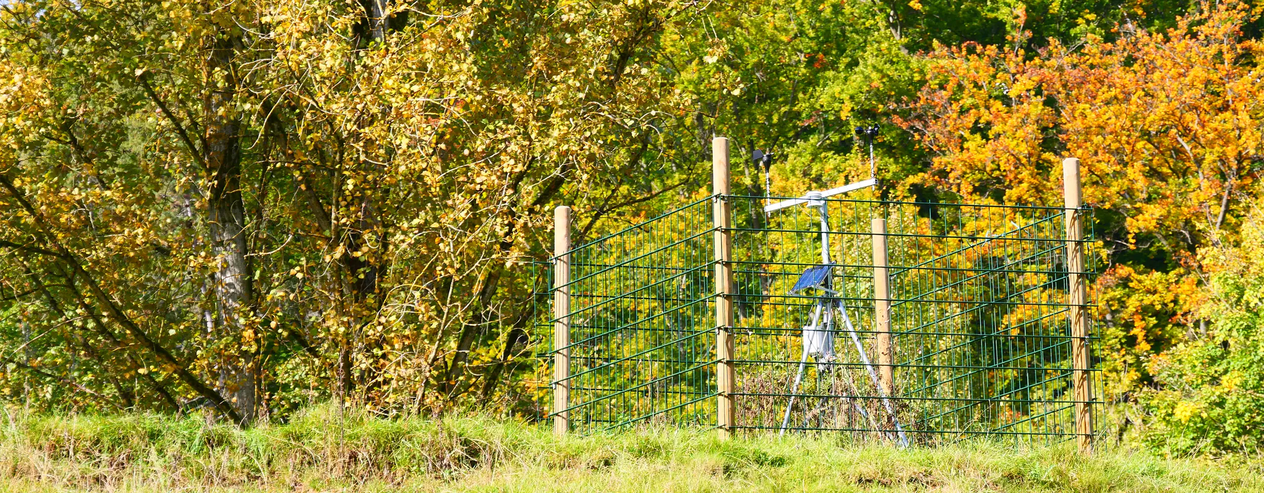 Wetterstation hinter einem Drahtzaun auf einer Wiese, umgeben von herbstlichen Bäumen.