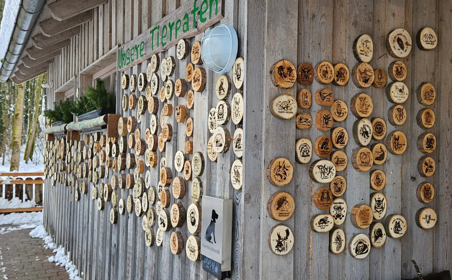 Viele bemalte Holzscheiben mit Tiermotiven hängen an einer Holzwand, darüber ein grünes Schild mit der Aufschrift „Tierarten“.